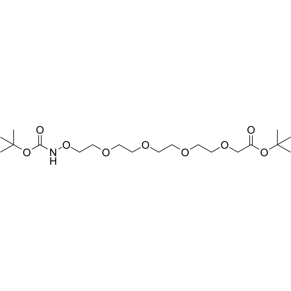 Boc-Aminooxy-PEG4-CH2-Boc Chemical Structure