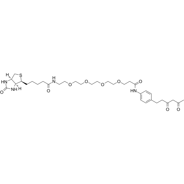 Diketone-PEG4-Biotin
