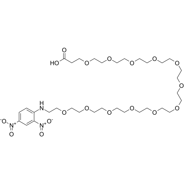 DNP-PEG12-acid Chemical Structure