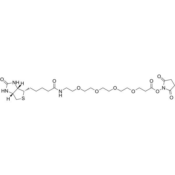 Biotin-PEG4-NHS ester