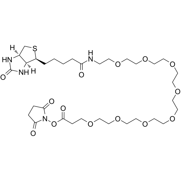 Biotin-PEG8-NHS ester Chemical Structure