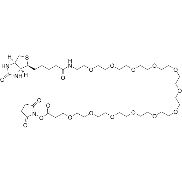 Biotin-PEG12-NHS ester Chemical Structure