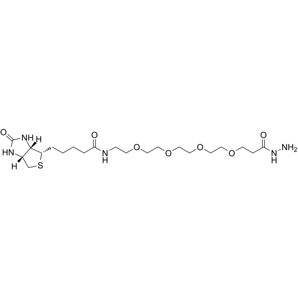 Biotin-PEG4-hydrazide Chemical Structure