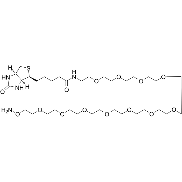 Biotin-PEG11-oxyamine Chemical Structure