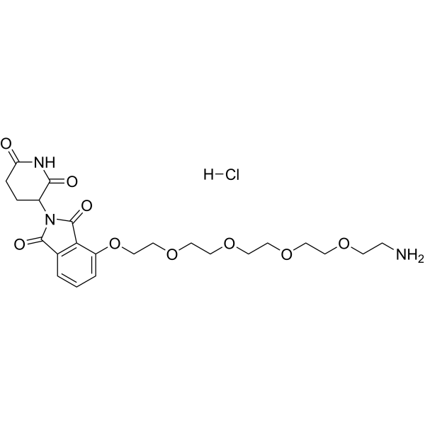 Thalidomide-O-PEG4-amine hydrochloride Chemical Structure
