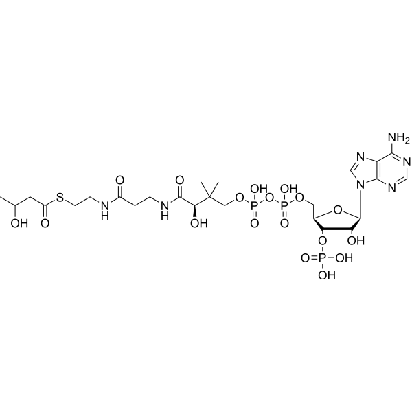 3-Hydroxybutyryl-CoA Chemical Structure