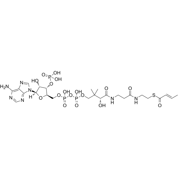 Crotonyl-CoA Chemical Structure