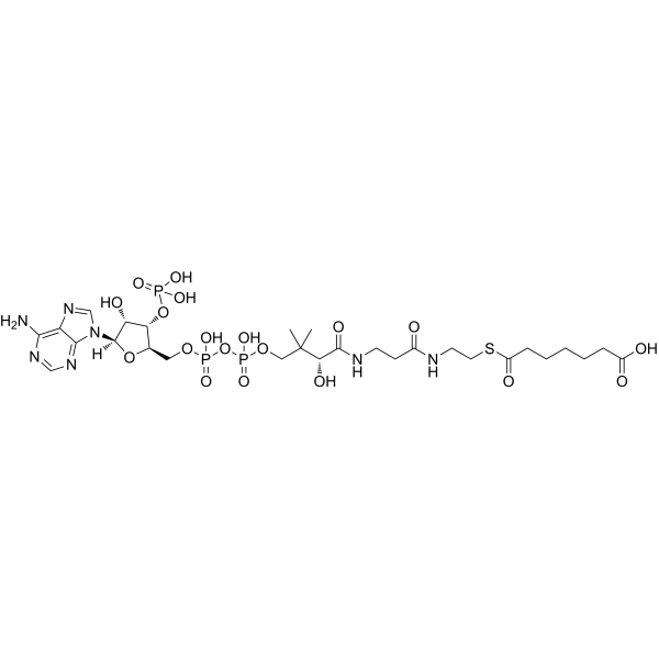Pimeloyl-CoA Chemical Structure