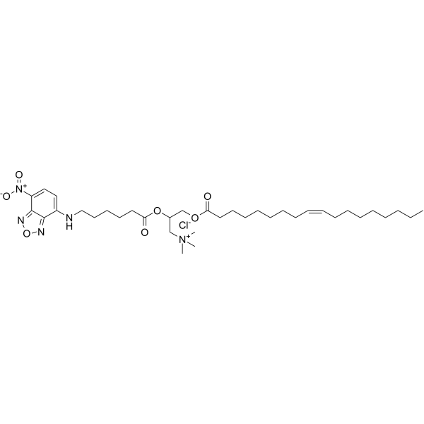 Fluorescent DOTAP Chemical Structure