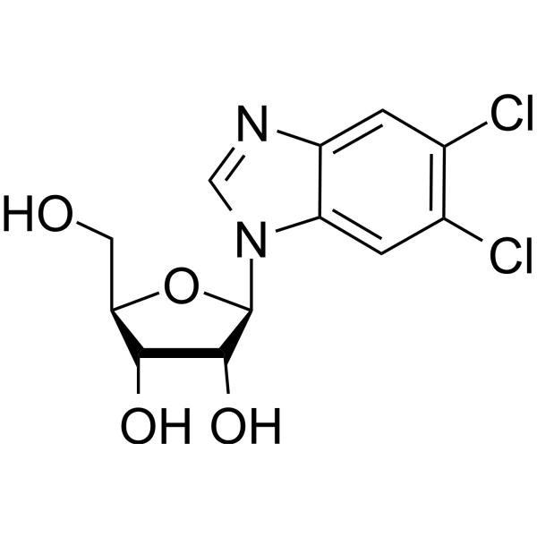 5,6-Dichlorobenzimidazole riboside Chemical Structure