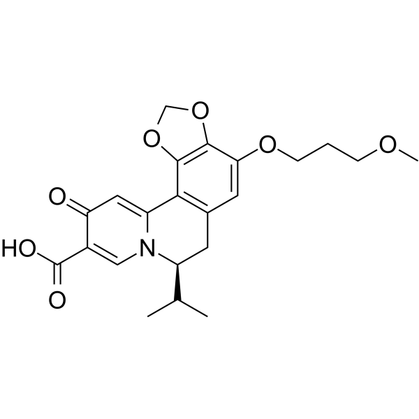 HBV-IN-13 Chemical Structure