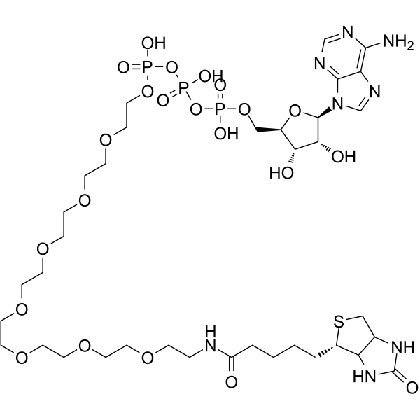 ATP-PEG8-Biotin Chemical Structure