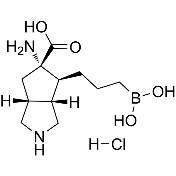 ARG1-IN-1 hydrochloride Chemical Structure