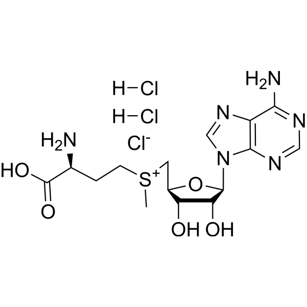S-<em>Adenosyl</em>-L-<em>methionine</em> chloride dihydrochloride