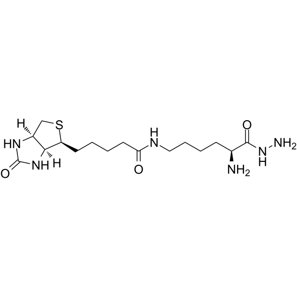Biocytin hydrazide Chemical Structure