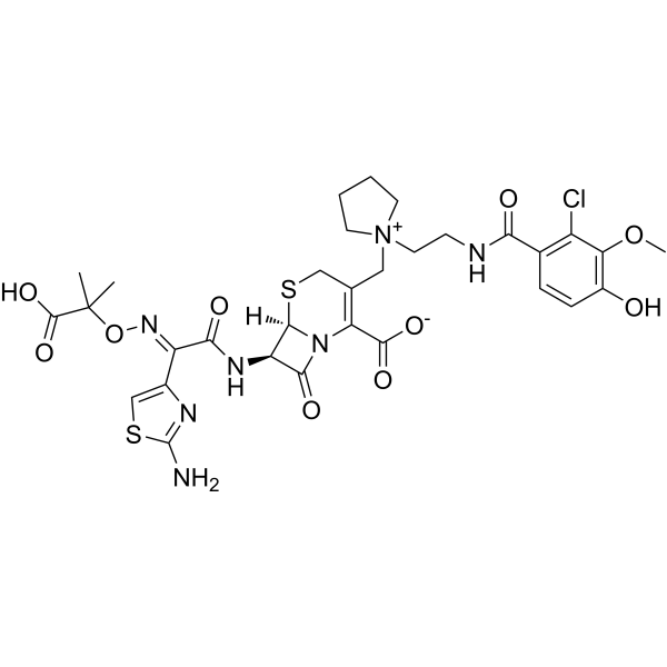 Cefiderocol catechol 3-methoxy