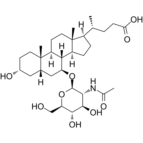 Ursodeoxycholic acid 7-N-acetylglucosaminide Chemical Structure