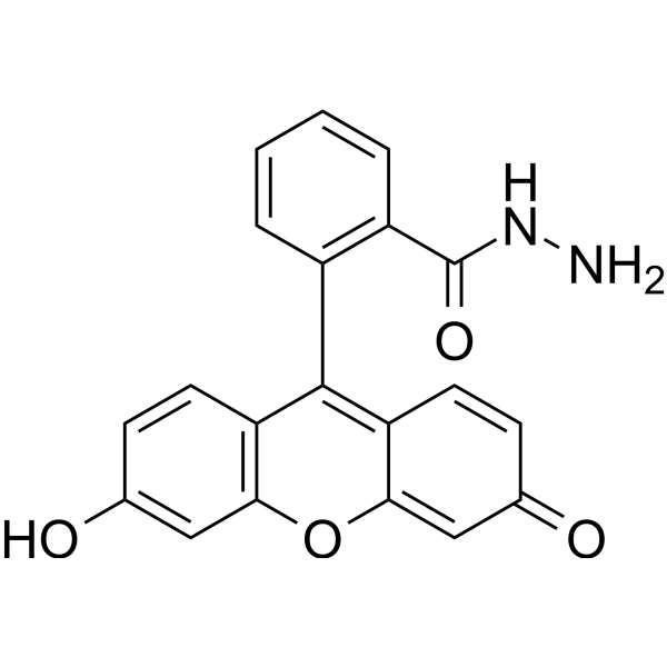 Fluorescein hydrazide