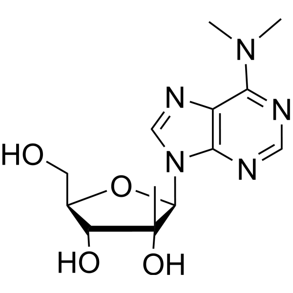N6,N6-Dimethyl-2’-β-C-methyladenosine