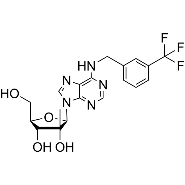 <em>N</em>6-(<em>3</em>-Trifluoromethylbenzyl)-2’-C-methyl adenosine