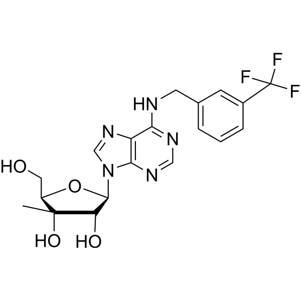 3’-Beta-<em>C</em>-Methyl-N6-(m-trifluoromethylbenzyl)adenosine