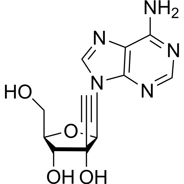 <em>2</em>’-<em>β</em>-C-Ethynyladenosine
