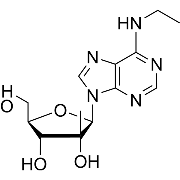 N6-Ethyl-2’-C-methyladenosine