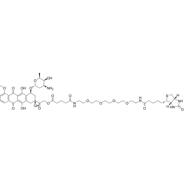Biotin-doxorubicin Chemical Structure