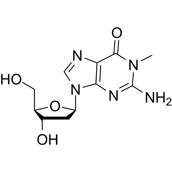 2’-Deoxy-N1-methylguanosine