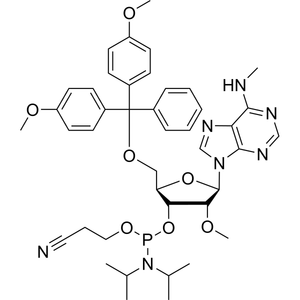 5'-O-DMTr-2'-O-methyl-<em>N</em>6-methyl adenosine <em>3</em>'-CED phosphoramidite