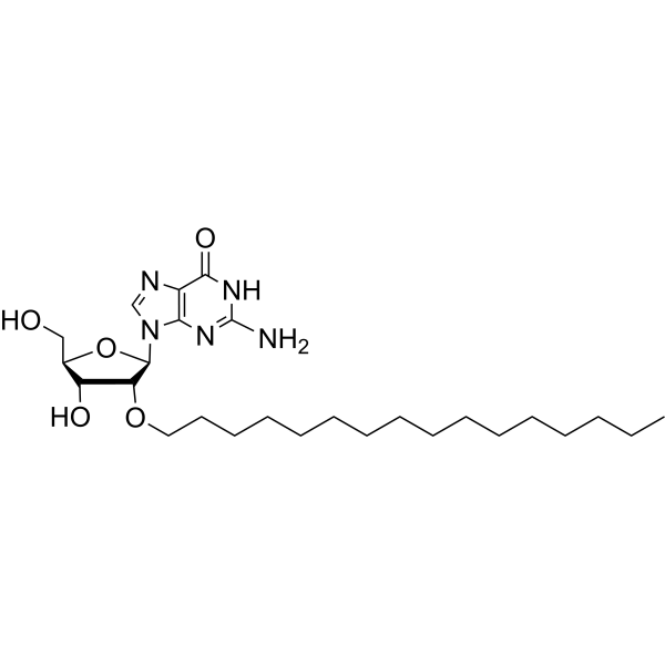 2’-O-Hexadecanyl guanosine