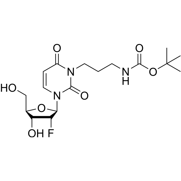 2’-Deoxy-2’-fluoro-N3-[3-(tert-butoxycarbonyl) amino]propyluridine