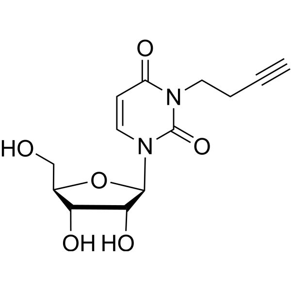 <em>N</em>3-(Butyn-3-yl)uridine