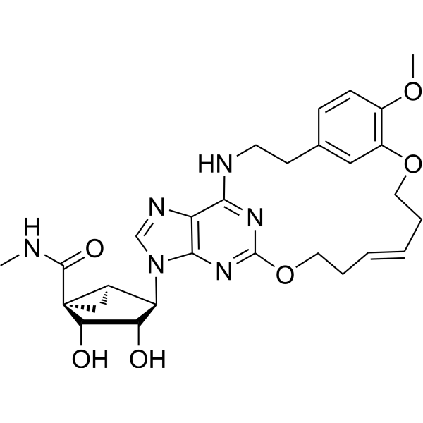 A3AR agonist 1 Chemical Structure