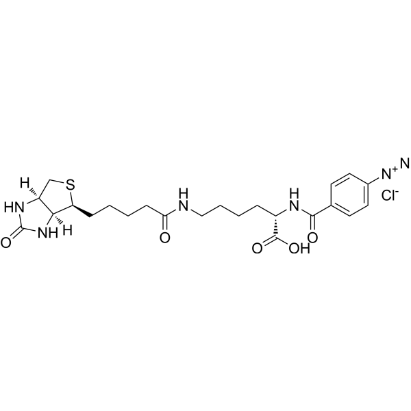 p-Diazobenzoyl-biocytin chloride Chemical Structure