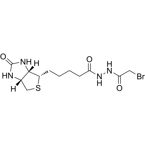 Biotin N-(bromoacetyl)hydrazide Chemical Structure