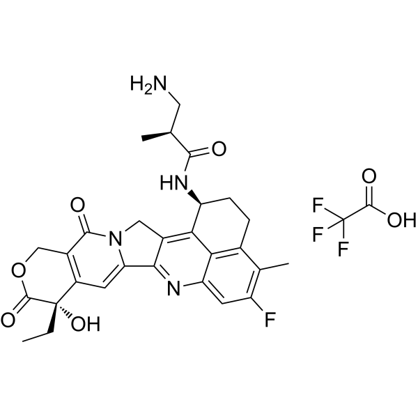NH2-methylpropanamide-Exatecan TFA