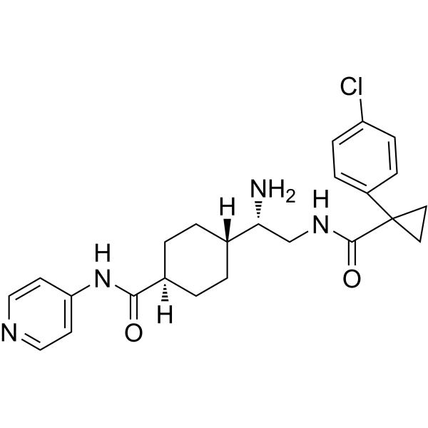 CIDD-0072424 Chemical Structure