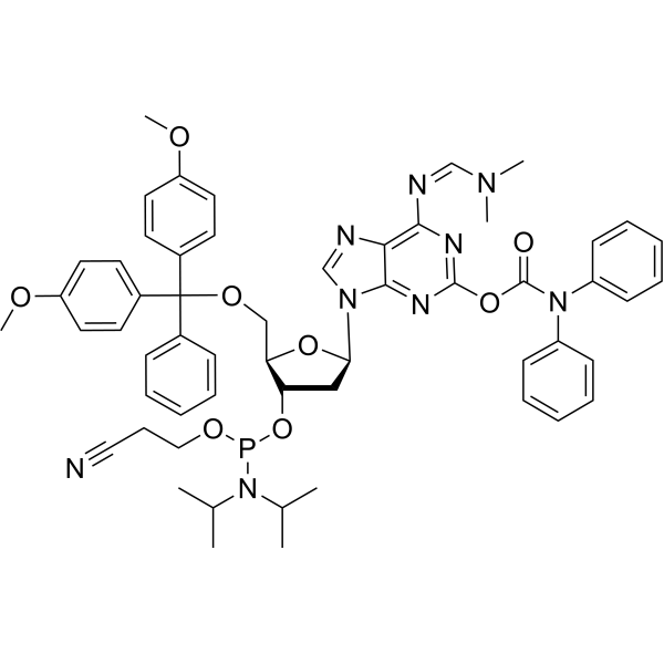 isoG Nucleoside-2