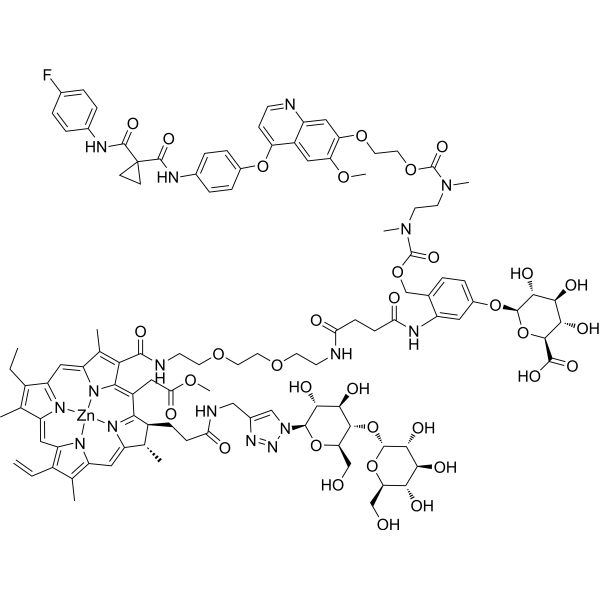 β-Glucuronidase responsive <em>conjugate</em> 1
