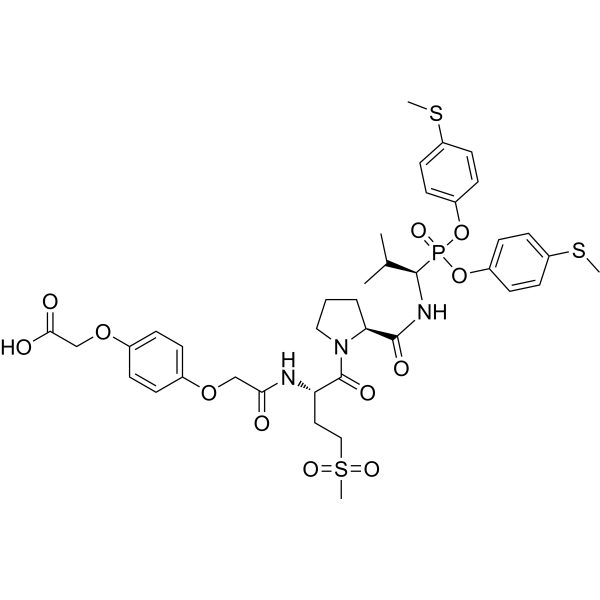 Neutrophil elastase inhibitor 6 Chemical Structure