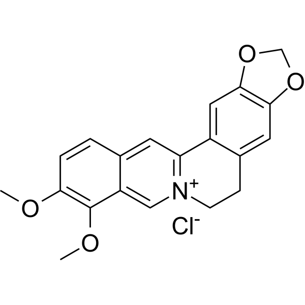 Berberine chloride Chemical Structure