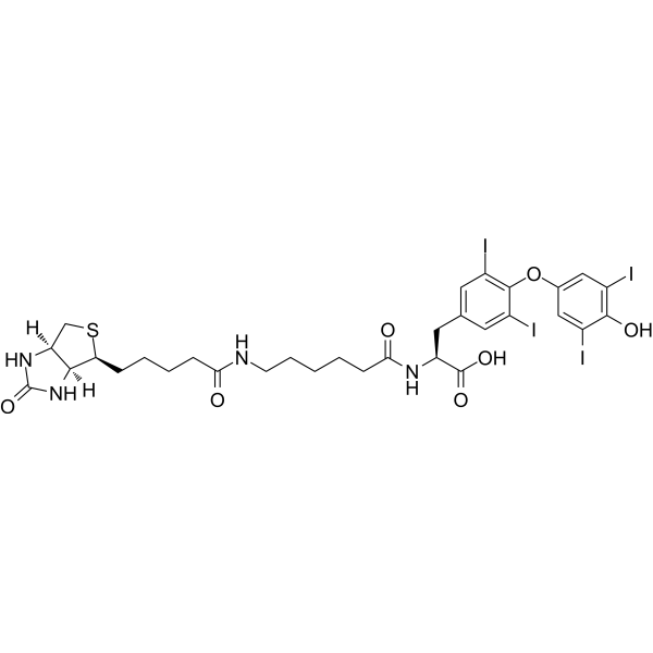 Biotin-hexanamide-(L-Thyroxine) Chemical Structure