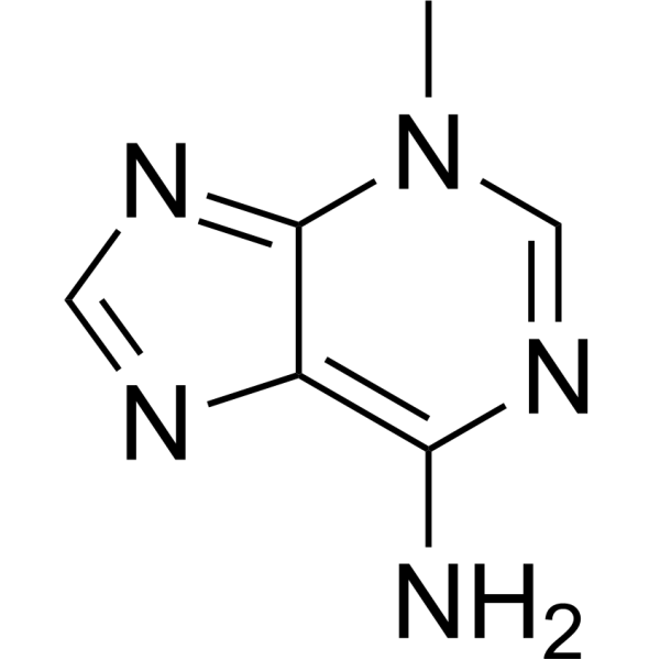 <em>3</em>-Methyladenine