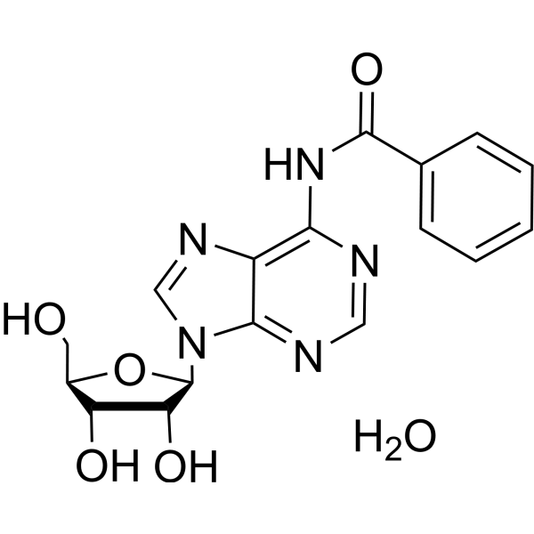 <em>N</em>6-Benzoyl-9-β-D-arabinofuranosyladenine hydrate