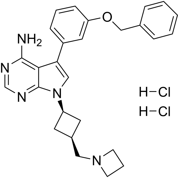 NVP-AEW541 dihydrochloride Chemical Structure