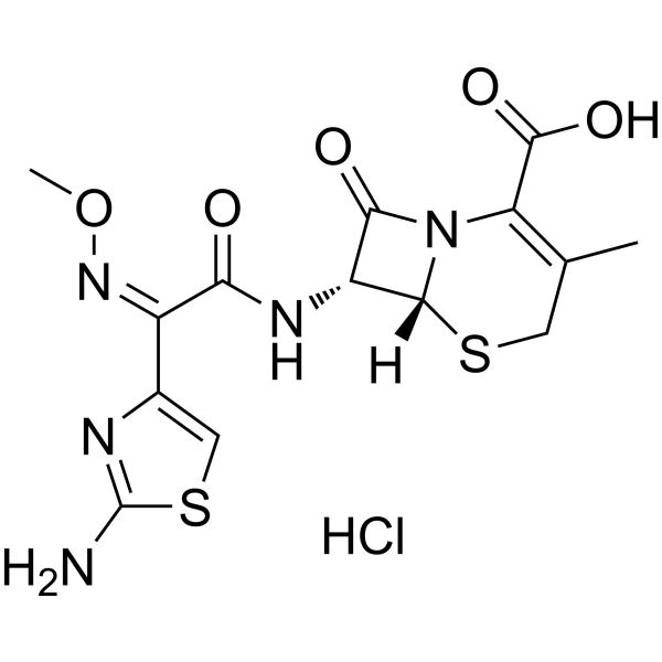 Cefetamet hydrochloride
