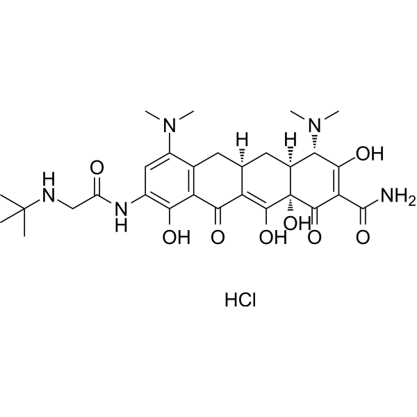 Tigecycline hydrochloride Chemical Structure