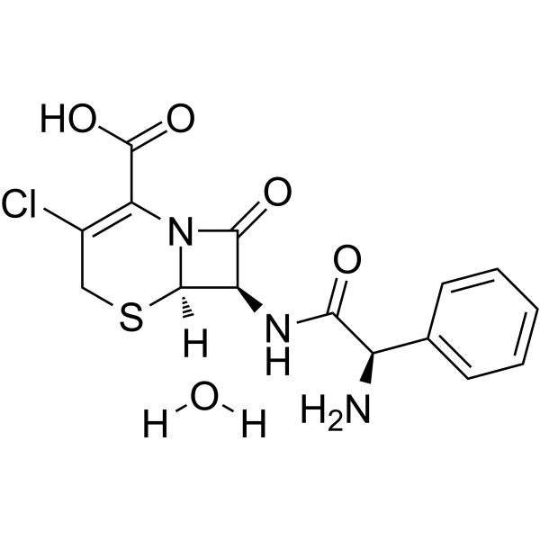 Cefaclor monohydrate Chemical Structure