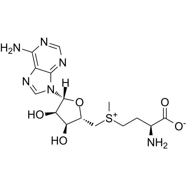 S-Adenosyl-L-methionine 構造式